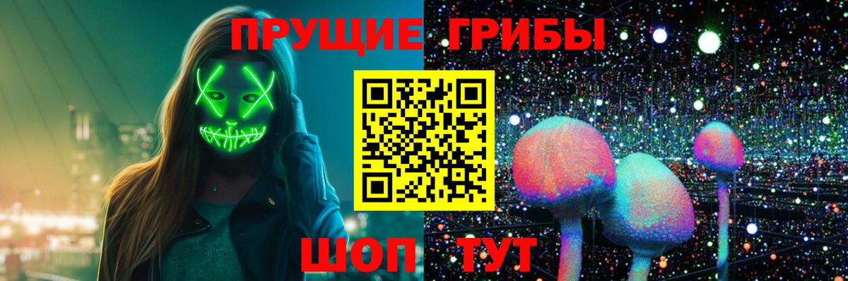 Псилоцибиновые грибы Psilocybine cubensis  Вход с VPN  Галлюциногенные грибы мухоморы  Ишимбай 
